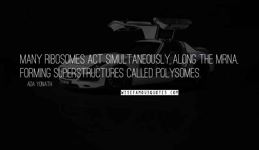 Ada Yonath Quotes: Many ribosomes act simultaneously along the mRNA, forming superstructures called polysomes.