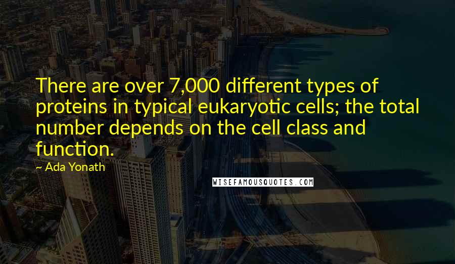 Ada Yonath Quotes: There are over 7,000 different types of proteins in typical eukaryotic cells; the total number depends on the cell class and function.
