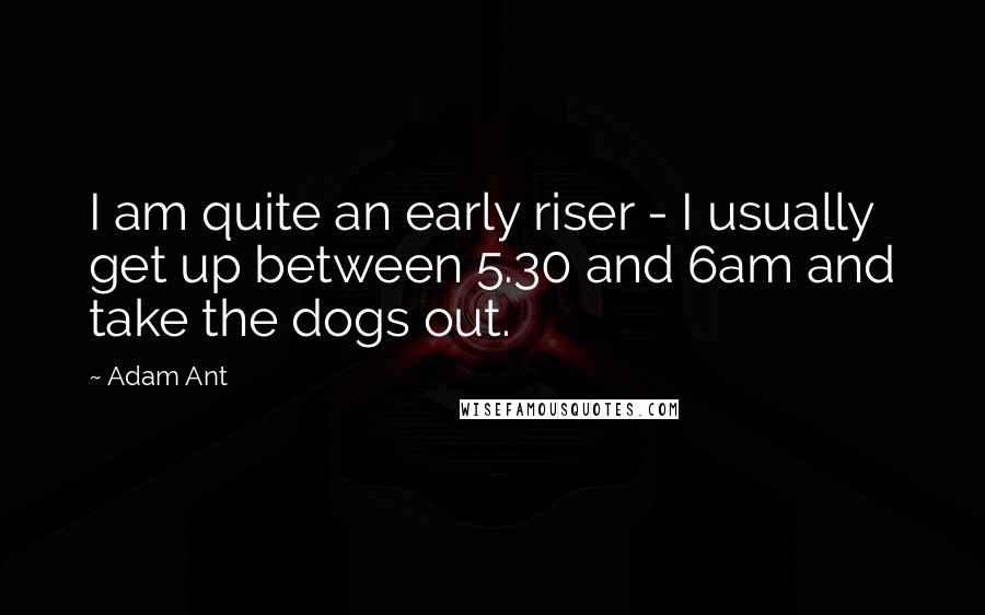 Adam Ant Quotes: I am quite an early riser - I usually get up between 5.30 and 6am and take the dogs out.