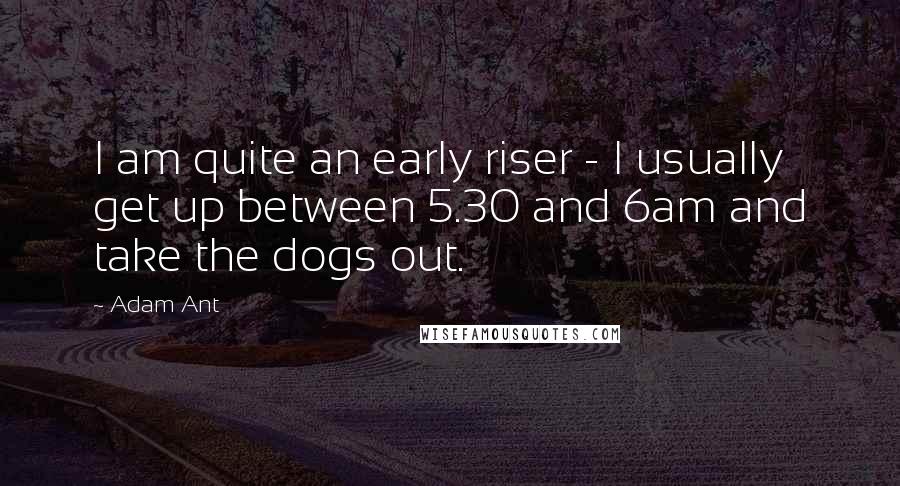 Adam Ant Quotes: I am quite an early riser - I usually get up between 5.30 and 6am and take the dogs out.