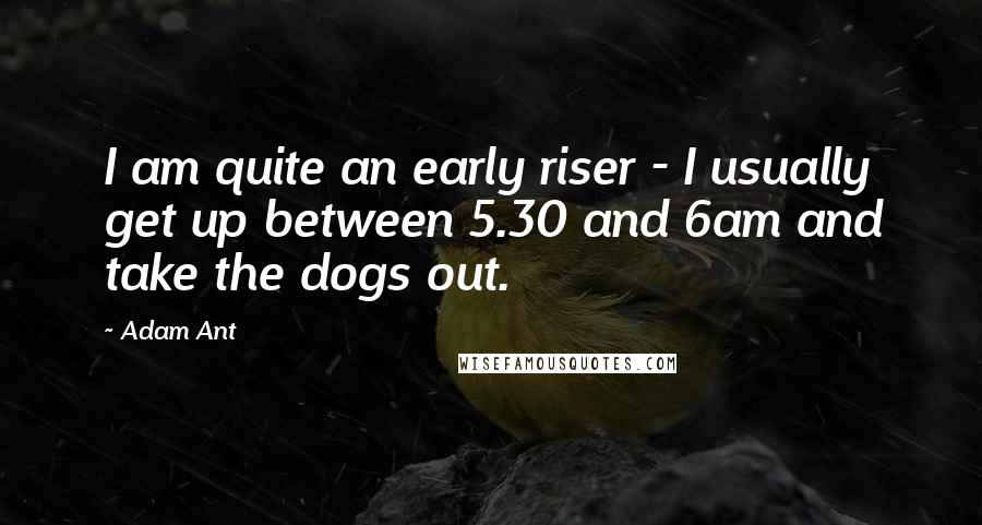 Adam Ant Quotes: I am quite an early riser - I usually get up between 5.30 and 6am and take the dogs out.