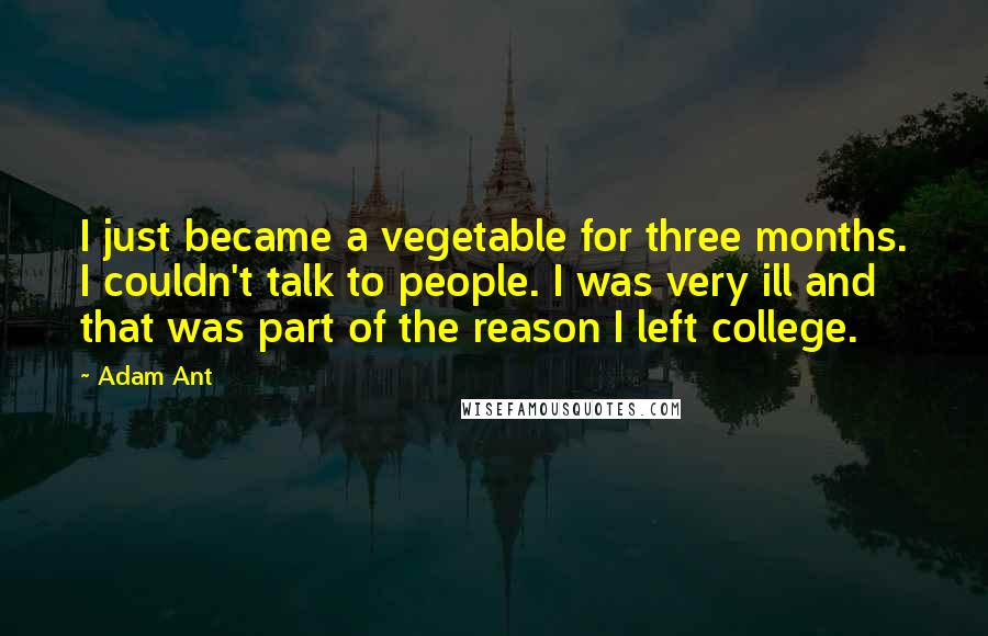 Adam Ant Quotes: I just became a vegetable for three months. I couldn't talk to people. I was very ill and that was part of the reason I left college.