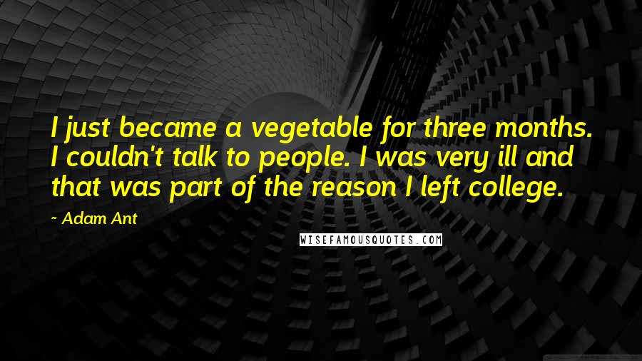 Adam Ant Quotes: I just became a vegetable for three months. I couldn't talk to people. I was very ill and that was part of the reason I left college.