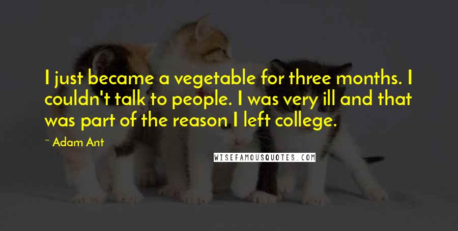 Adam Ant Quotes: I just became a vegetable for three months. I couldn't talk to people. I was very ill and that was part of the reason I left college.