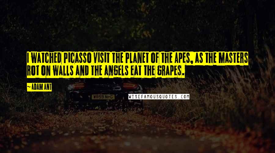 Adam Ant Quotes: I watched Picasso visit the Planet of the Apes, as the masters rot on walls and the angels eat the grapes.