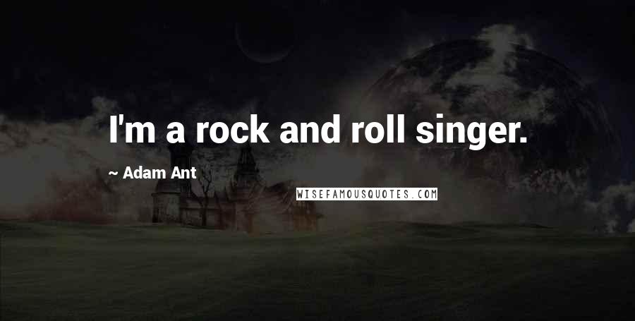 Adam Ant Quotes: I'm a rock and roll singer.