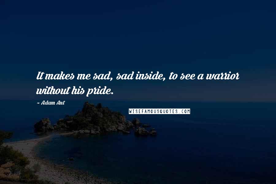 Adam Ant Quotes: It makes me sad, sad inside, to see a warrior without his pride.