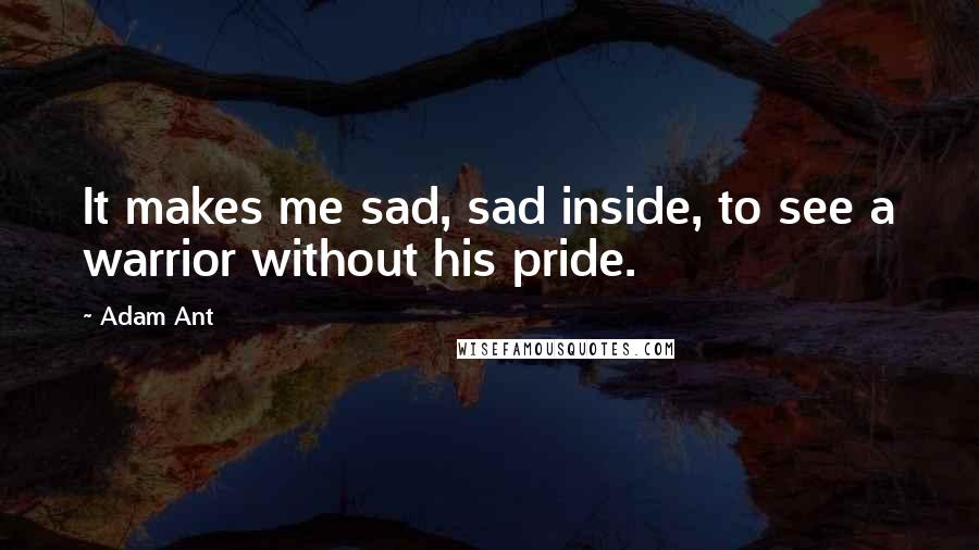 Adam Ant Quotes: It makes me sad, sad inside, to see a warrior without his pride.