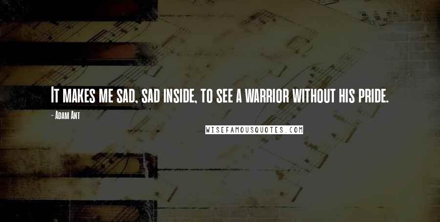 Adam Ant Quotes: It makes me sad, sad inside, to see a warrior without his pride.