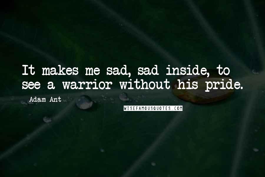 Adam Ant Quotes: It makes me sad, sad inside, to see a warrior without his pride.