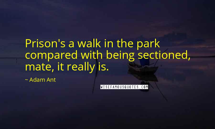 Adam Ant Quotes: Prison's a walk in the park compared with being sectioned, mate, it really is.