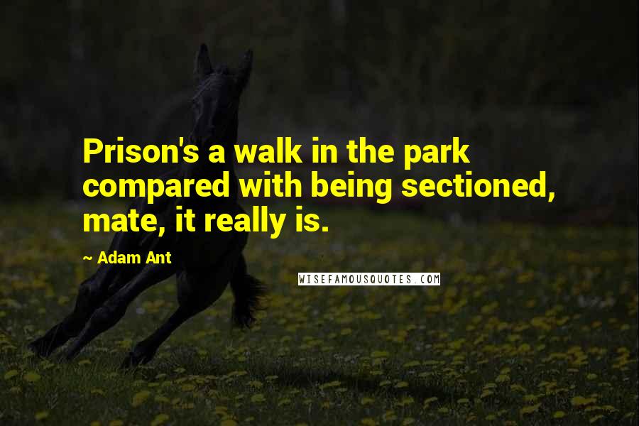 Adam Ant Quotes: Prison's a walk in the park compared with being sectioned, mate, it really is.