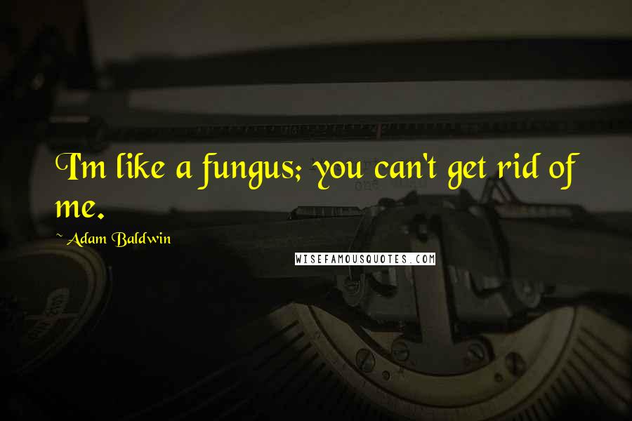 Adam Baldwin Quotes: I'm like a fungus; you can't get rid of me.