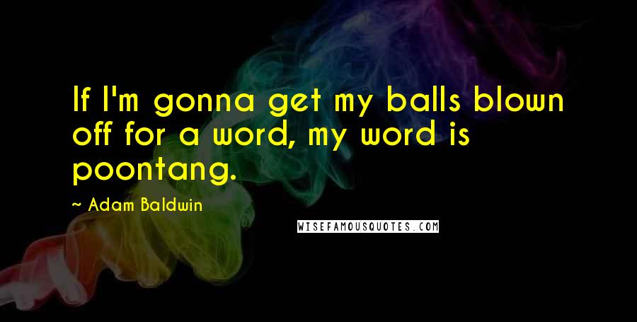Adam Baldwin Quotes: If I'm gonna get my balls blown off for a word, my word is poontang.