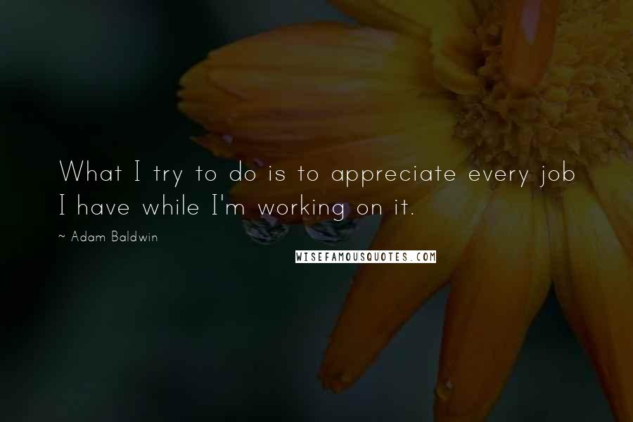 Adam Baldwin Quotes: What I try to do is to appreciate every job I have while I'm working on it.