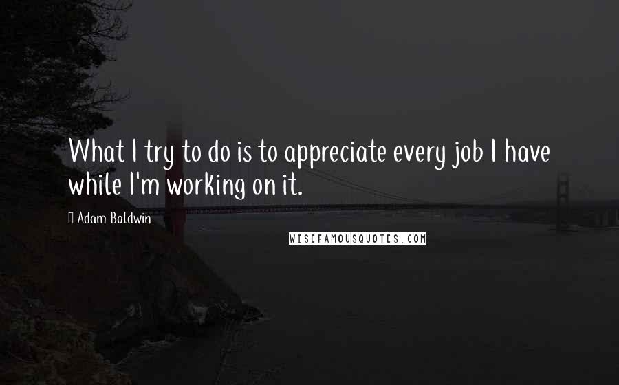 Adam Baldwin Quotes: What I try to do is to appreciate every job I have while I'm working on it.