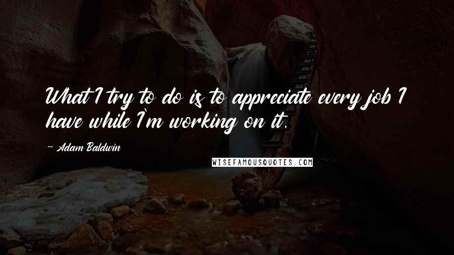 Adam Baldwin Quotes: What I try to do is to appreciate every job I have while I'm working on it.