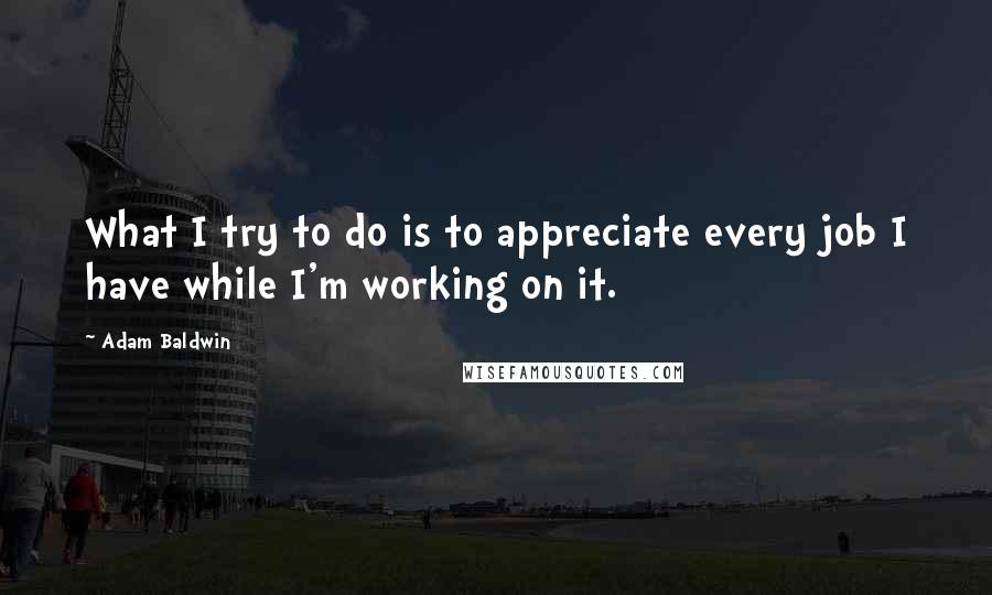 Adam Baldwin Quotes: What I try to do is to appreciate every job I have while I'm working on it.