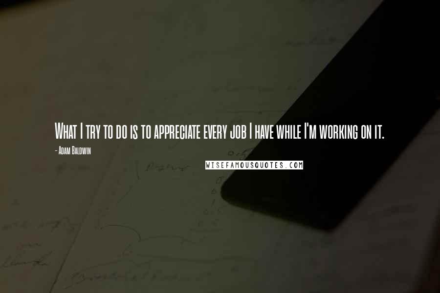 Adam Baldwin Quotes: What I try to do is to appreciate every job I have while I'm working on it.