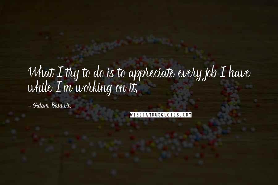 Adam Baldwin Quotes: What I try to do is to appreciate every job I have while I'm working on it.