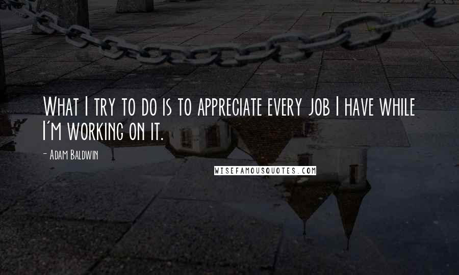 Adam Baldwin Quotes: What I try to do is to appreciate every job I have while I'm working on it.