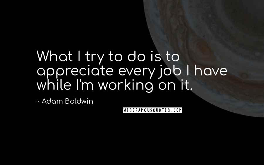 Adam Baldwin Quotes: What I try to do is to appreciate every job I have while I'm working on it.