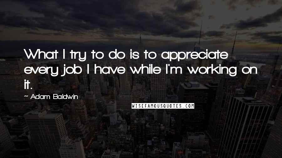 Adam Baldwin Quotes: What I try to do is to appreciate every job I have while I'm working on it.