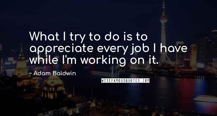 Adam Baldwin Quotes: What I try to do is to appreciate every job I have while I'm working on it.