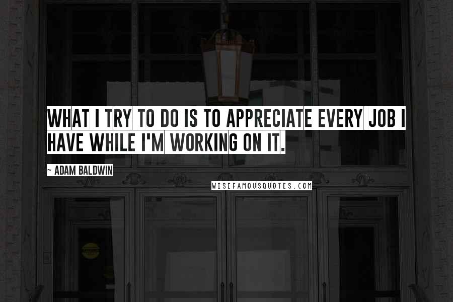 Adam Baldwin Quotes: What I try to do is to appreciate every job I have while I'm working on it.