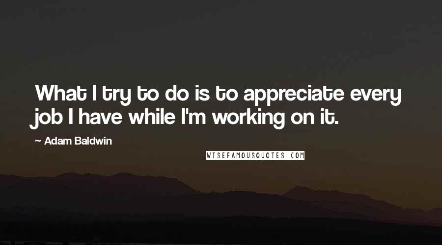 Adam Baldwin Quotes: What I try to do is to appreciate every job I have while I'm working on it.