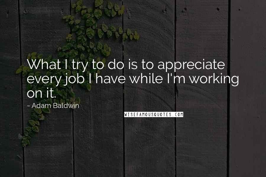 Adam Baldwin Quotes: What I try to do is to appreciate every job I have while I'm working on it.