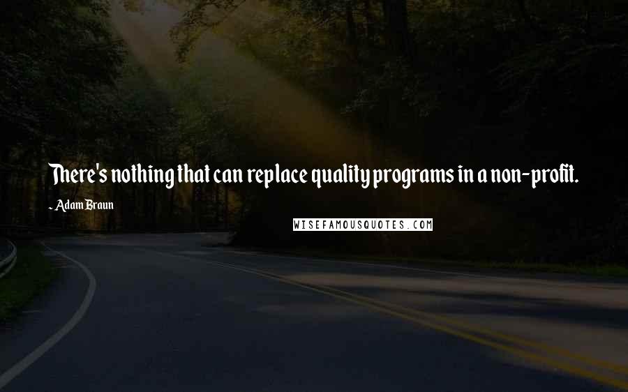 Adam Braun Quotes: There's nothing that can replace quality programs in a non-profit.