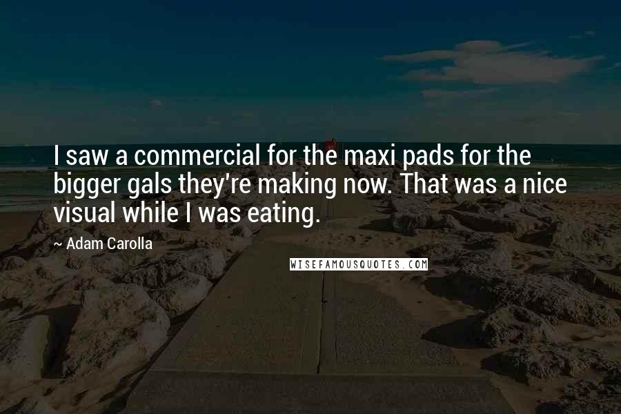 Adam Carolla Quotes: I saw a commercial for the maxi pads for the bigger gals they're making now. That was a nice visual while I was eating.