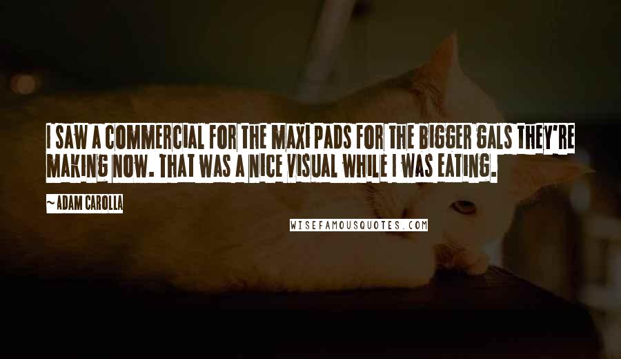 Adam Carolla Quotes: I saw a commercial for the maxi pads for the bigger gals they're making now. That was a nice visual while I was eating.
