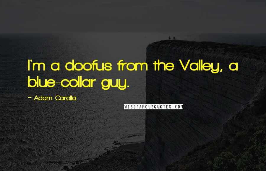 Adam Carolla Quotes: I'm a doofus from the Valley, a blue-collar guy.