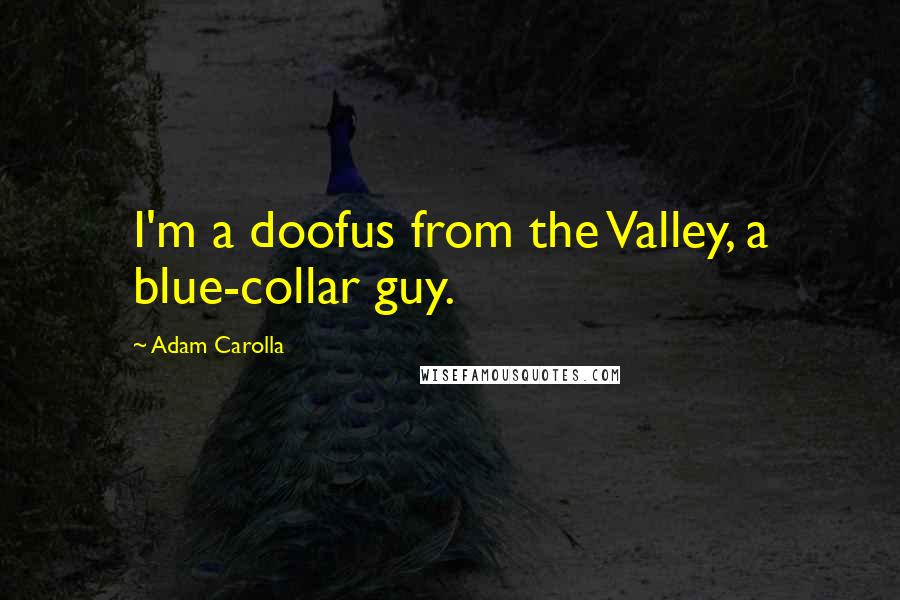 Adam Carolla Quotes: I'm a doofus from the Valley, a blue-collar guy.