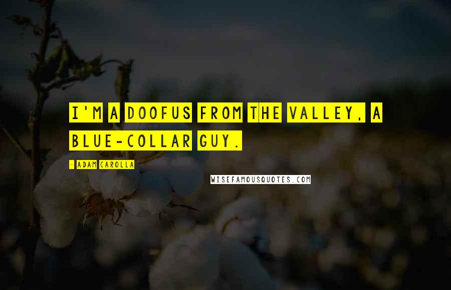 Adam Carolla Quotes: I'm a doofus from the Valley, a blue-collar guy.