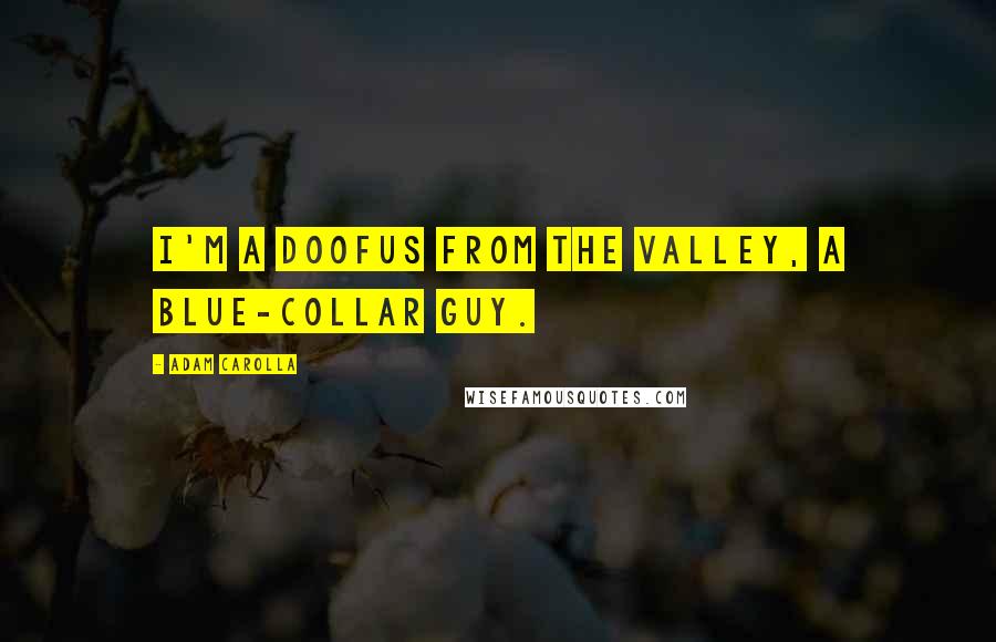 Adam Carolla Quotes: I'm a doofus from the Valley, a blue-collar guy.