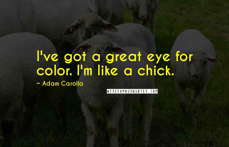 Adam Carolla Quotes: I've got a great eye for color. I'm like a chick.