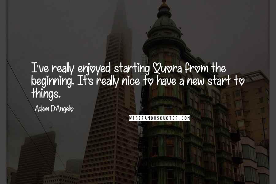 Adam D'Angelo Quotes: I've really enjoyed starting Quora from the beginning. It's really nice to have a new start to things.