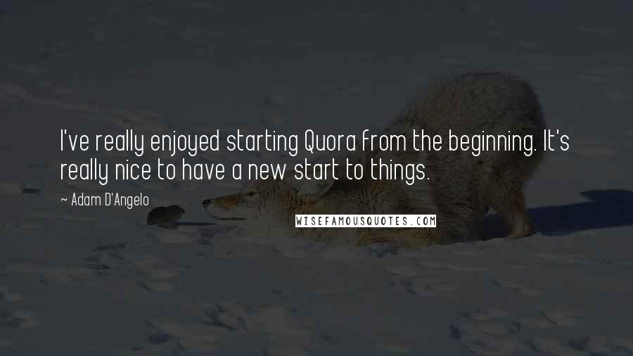 Adam D'Angelo Quotes: I've really enjoyed starting Quora from the beginning. It's really nice to have a new start to things.