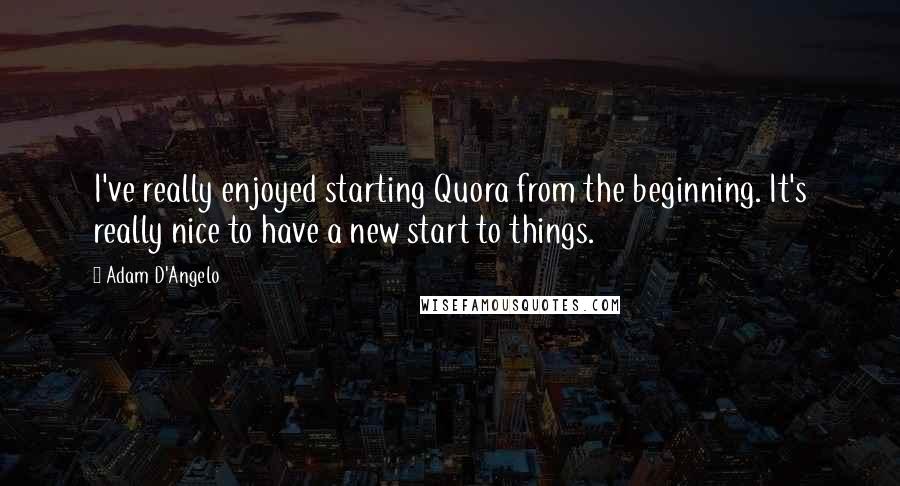 Adam D'Angelo Quotes: I've really enjoyed starting Quora from the beginning. It's really nice to have a new start to things.