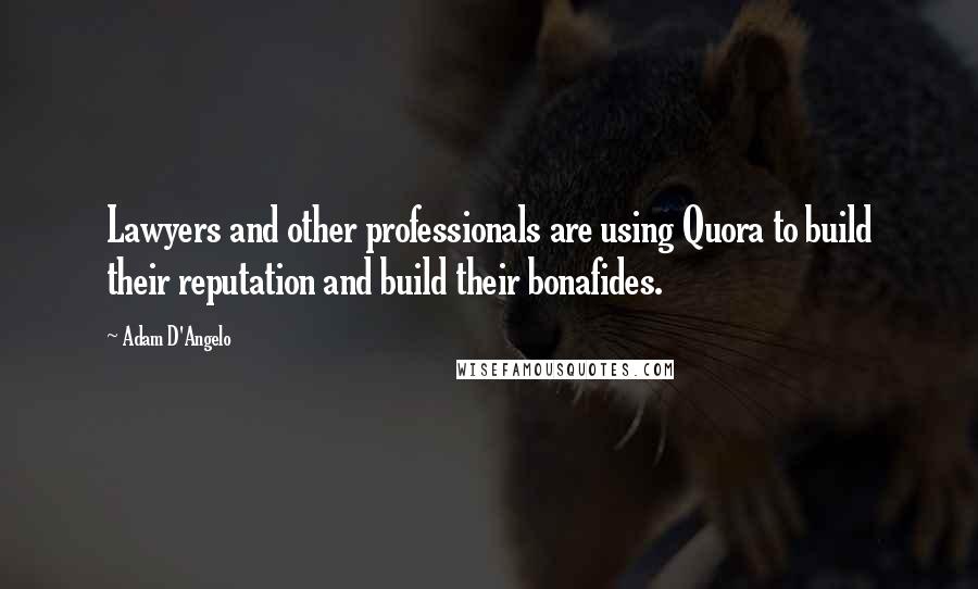 Adam D'Angelo Quotes: Lawyers and other professionals are using Quora to build their reputation and build their bonafides.