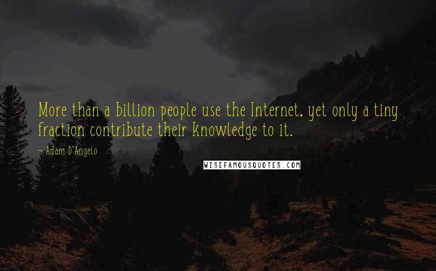 Adam D'Angelo Quotes: More than a billion people use the Internet, yet only a tiny fraction contribute their knowledge to it.