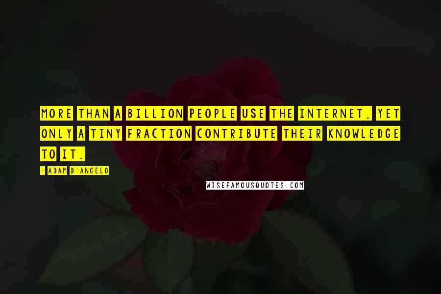 Adam D'Angelo Quotes: More than a billion people use the Internet, yet only a tiny fraction contribute their knowledge to it.