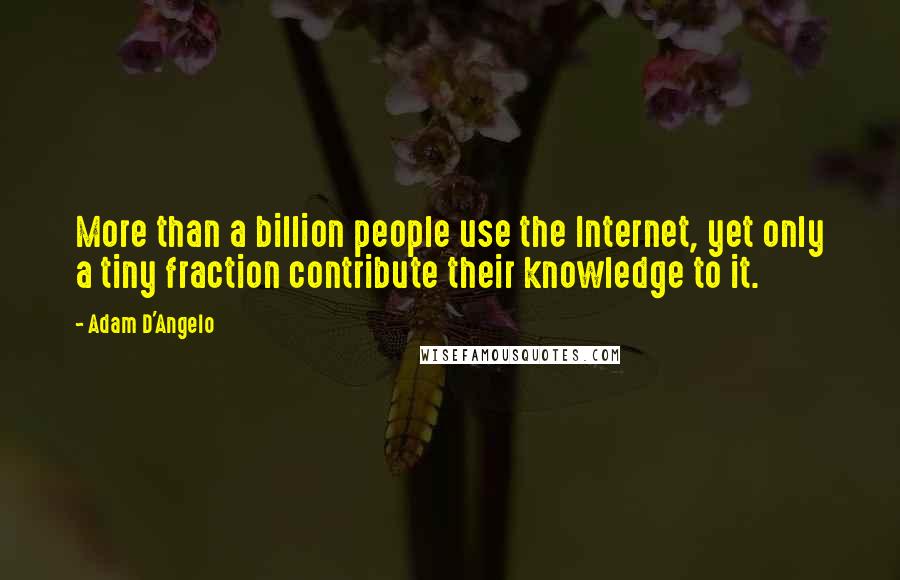 Adam D'Angelo Quotes: More than a billion people use the Internet, yet only a tiny fraction contribute their knowledge to it.