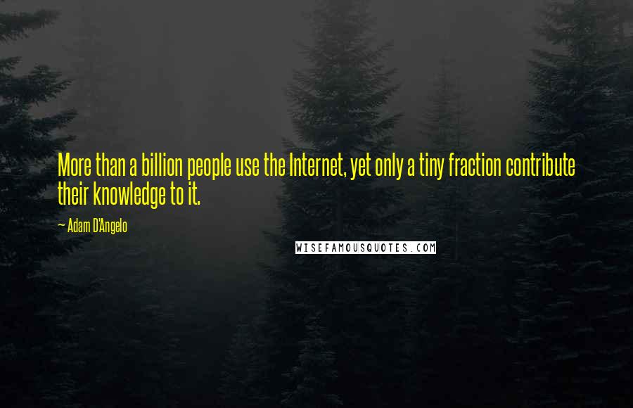 Adam D'Angelo Quotes: More than a billion people use the Internet, yet only a tiny fraction contribute their knowledge to it.