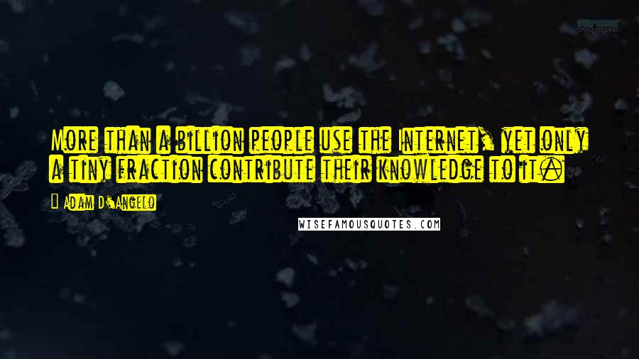 Adam D'Angelo Quotes: More than a billion people use the Internet, yet only a tiny fraction contribute their knowledge to it.