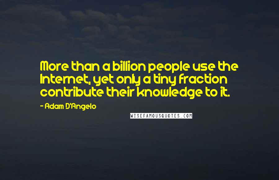 Adam D'Angelo Quotes: More than a billion people use the Internet, yet only a tiny fraction contribute their knowledge to it.