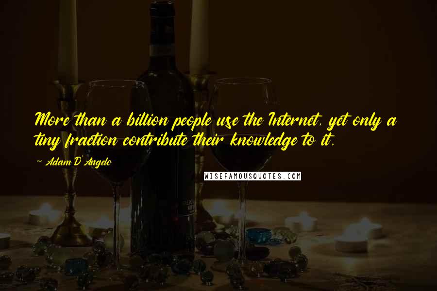 Adam D'Angelo Quotes: More than a billion people use the Internet, yet only a tiny fraction contribute their knowledge to it.